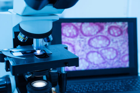 The way forward for digital pathology: Beyond radiology’s blueprint